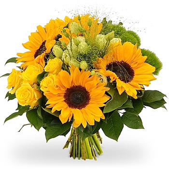 bosje bloemen plaatjes zonnebloemen bezorgen 187 bosbloemenbezorgen nl bosje bloemen plaatjes zonnebloemen bezorgen 187 bosbloemenbezorgen nl