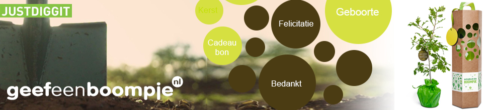 cadeau bezorgen zondag cadeau bezorgen zondag