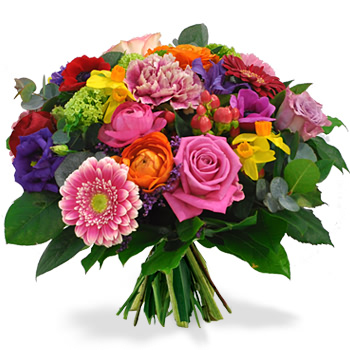https://www.geschenkbezorgen.nl/producten/afbeeldingen/bloemen/kleurrijk-normaal.jpg